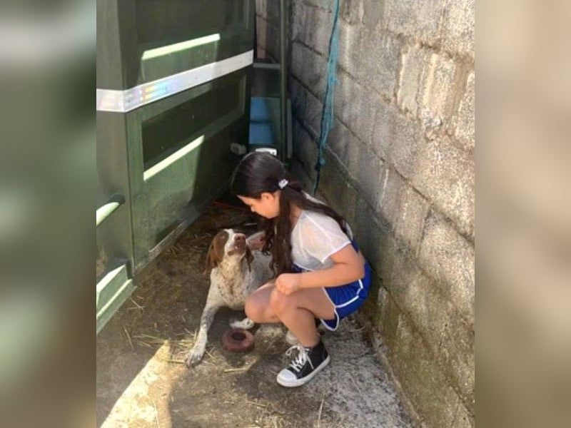 KIARA- freundlich, unbekümmert, aufgeschlossen, da sie schon einemal eine Familie hatte