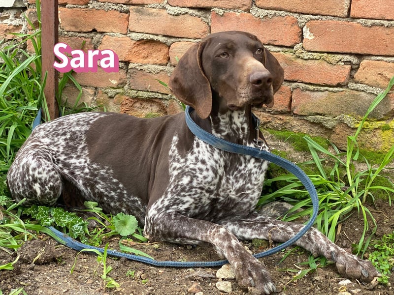 Sara - lieb, temperamentvoll, lustig