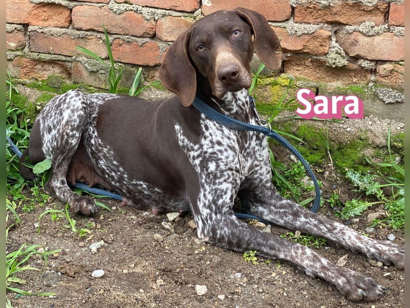 Sara - lieb, temperamentvoll, lustig