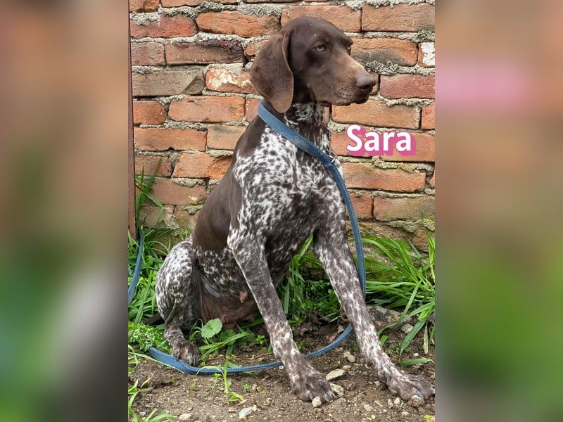 Sara - lieb, temperamentvoll, lustig