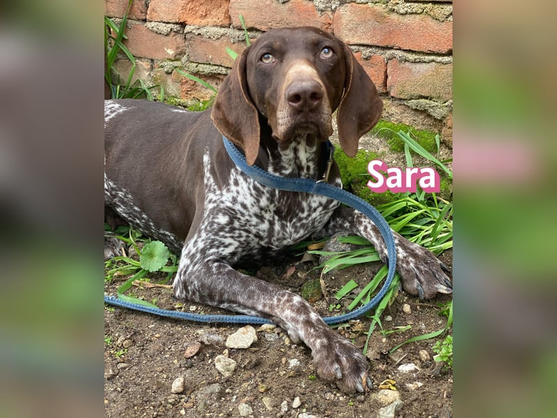 Sara - lieb, temperamentvoll, lustig