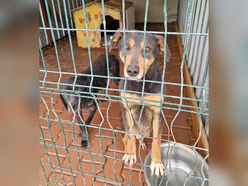 Sophie, ca. 2022 geboren