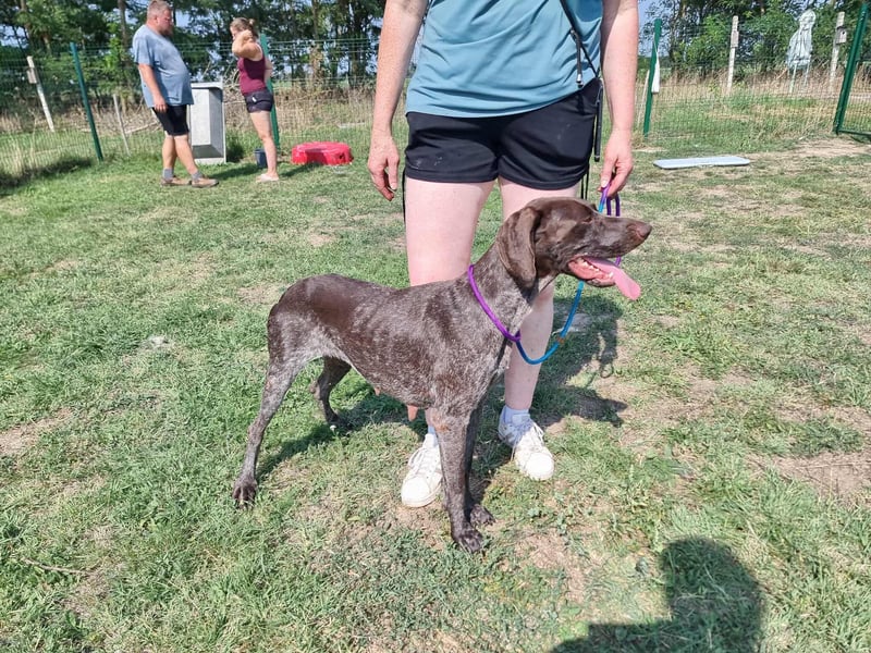 Mendi, geboren 28.06.2022, 60cm sucht liebevolles Zuhause