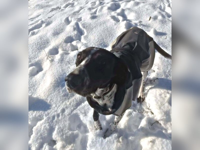 BELLA - intelligentes Mädchen wartet auf ihre Menschen