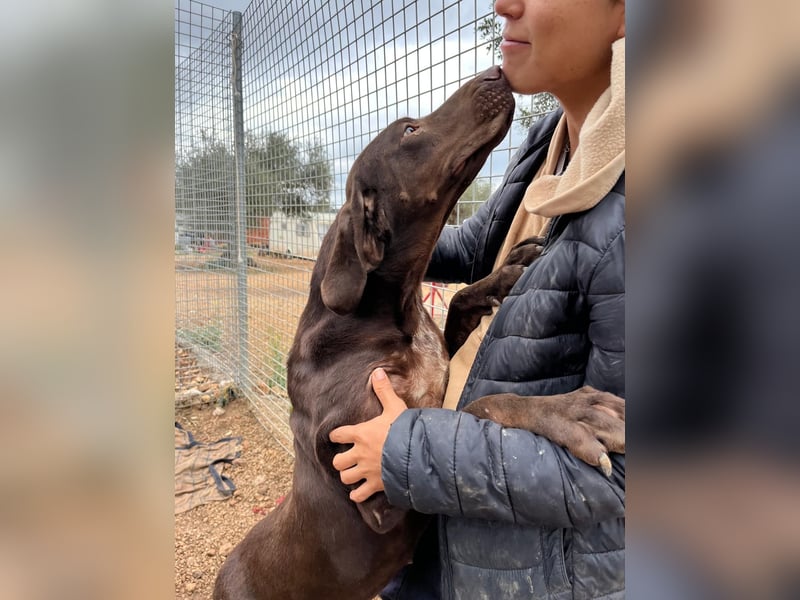 naturverbundene freundliche agile FLORA