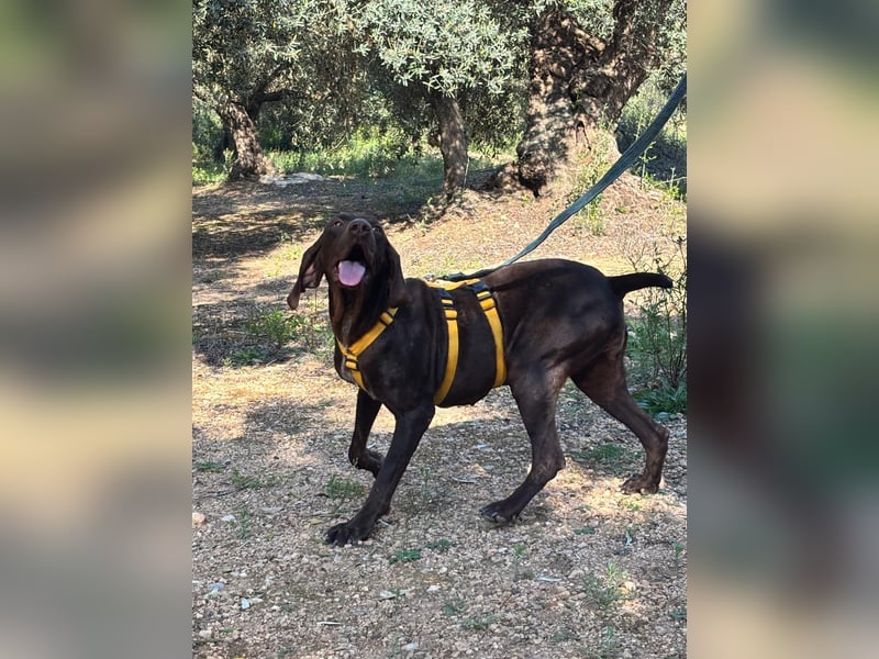 naturverbundene freundliche agile FLORA