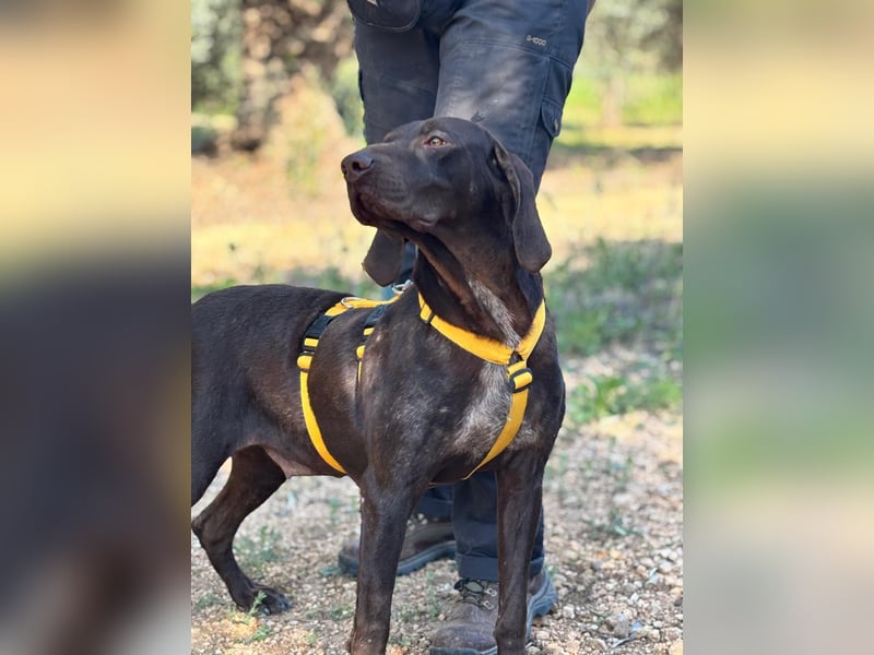 naturverbundene freundliche agile FLORA