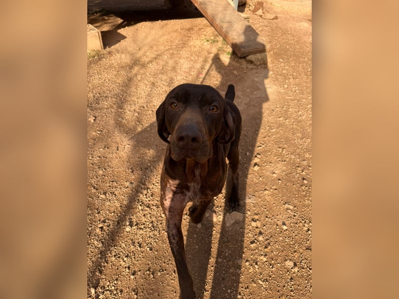 naturverbundene freundliche agile FLORA