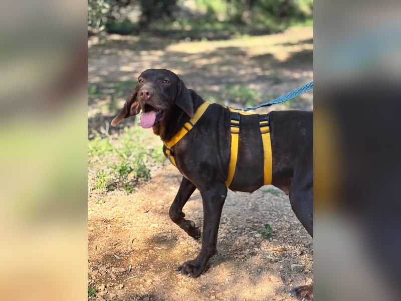 naturverbundene freundliche agile FLORA