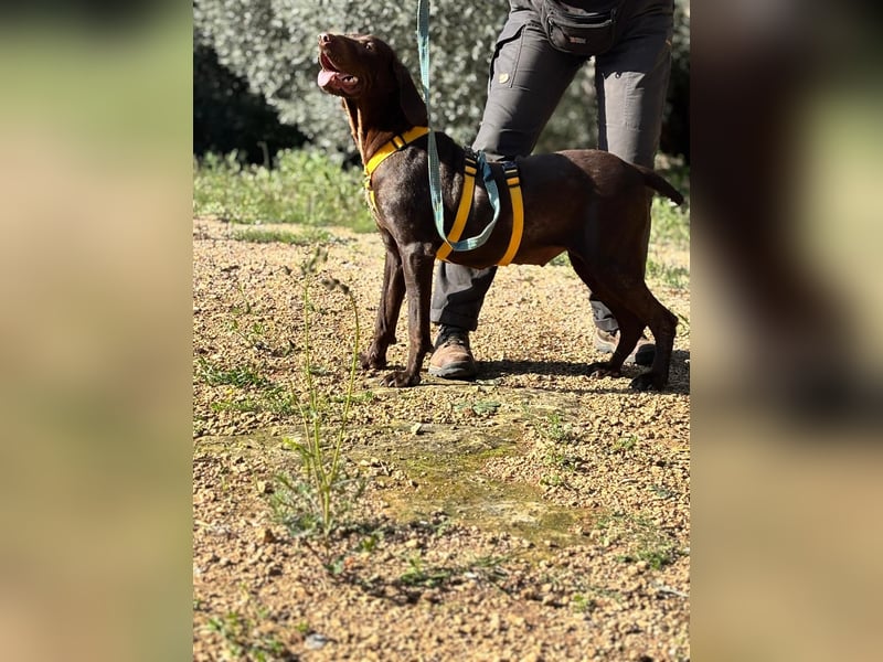 naturverbundene freundliche agile FLORA