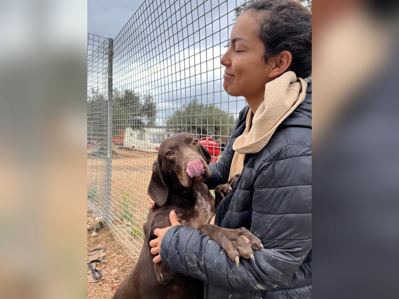 naturverbundene freundliche agile FLORA