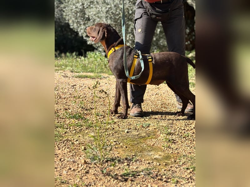 naturverbundene freundliche agile FLORA