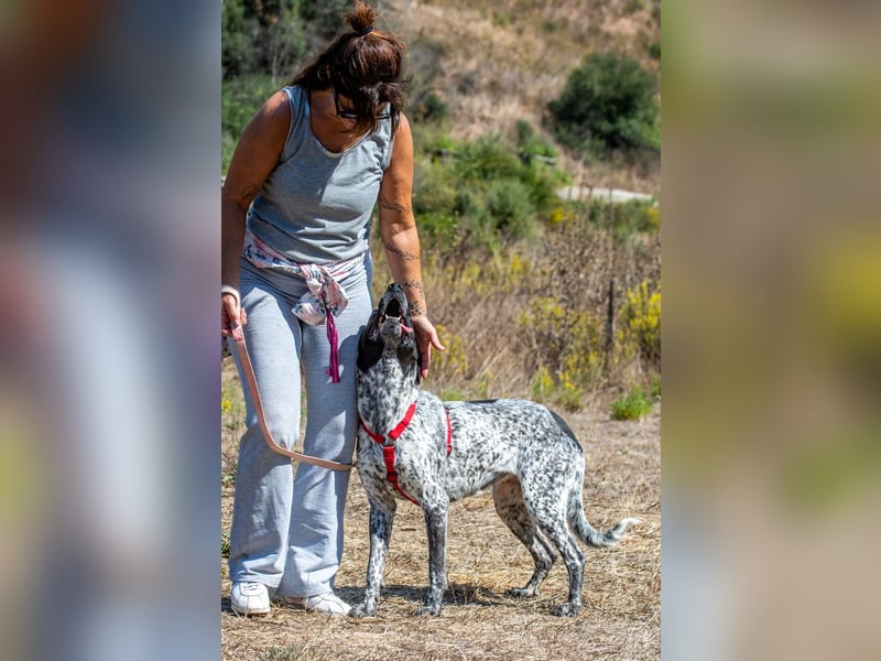 Lucile - ein feines Maedchen