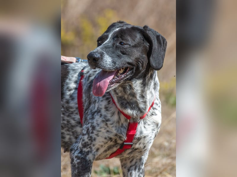 Lucile - ein feines Maedchen