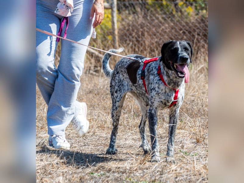 Lucile - ein feines Maedchen