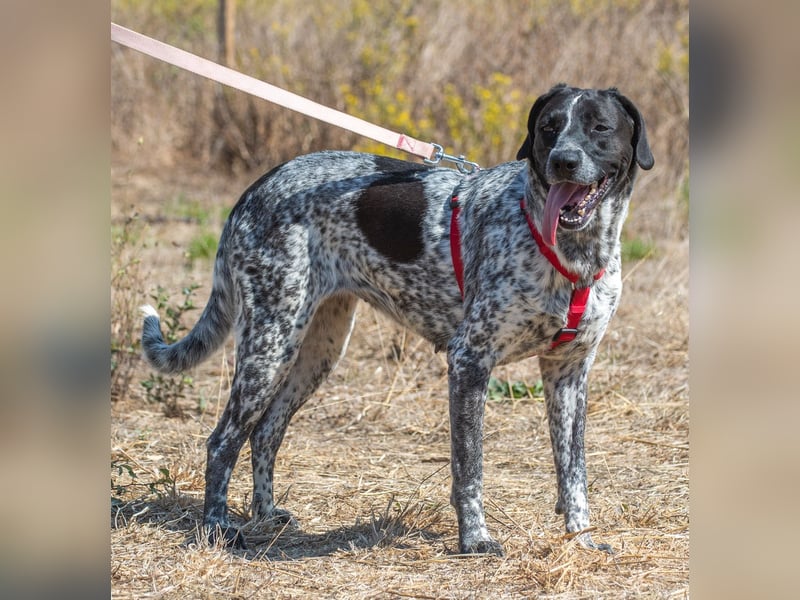 Lucile - ein feines Maedchen
