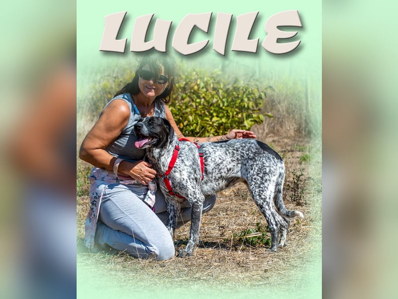 Lucile - ein feines Maedchen