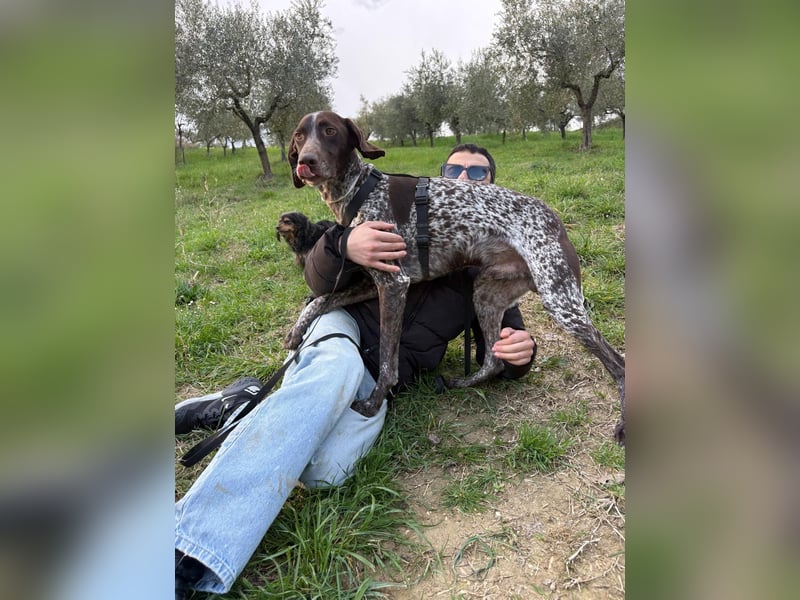 Max - gute Laune auf vier Pfoten sucht seine sportlichen Menschen für gemeinsame Abenteuer