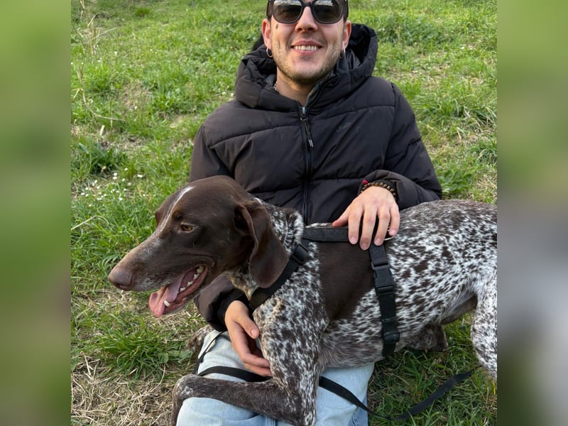 Max - gute Laune auf vier Pfoten sucht seine sportlichen Menschen für gemeinsame Abenteuer