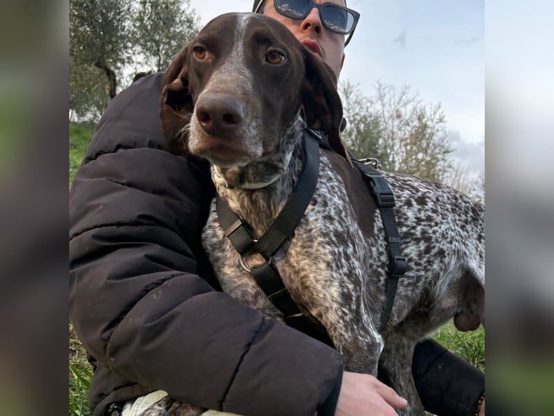 Max - gute Laune auf vier Pfoten sucht seine sportlichen Menschen für gemeinsame Abenteuer