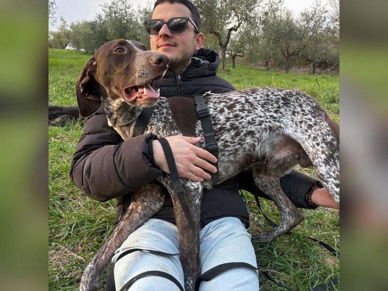 Max - gute Laune auf vier Pfoten sucht seine sportlichen Menschen für gemeinsame Abenteuer