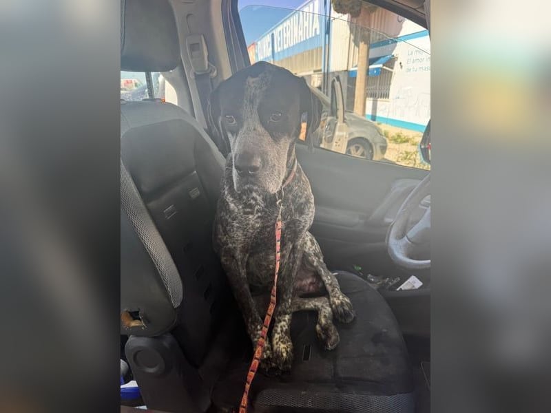 Lennon, wartet auf seine Chance