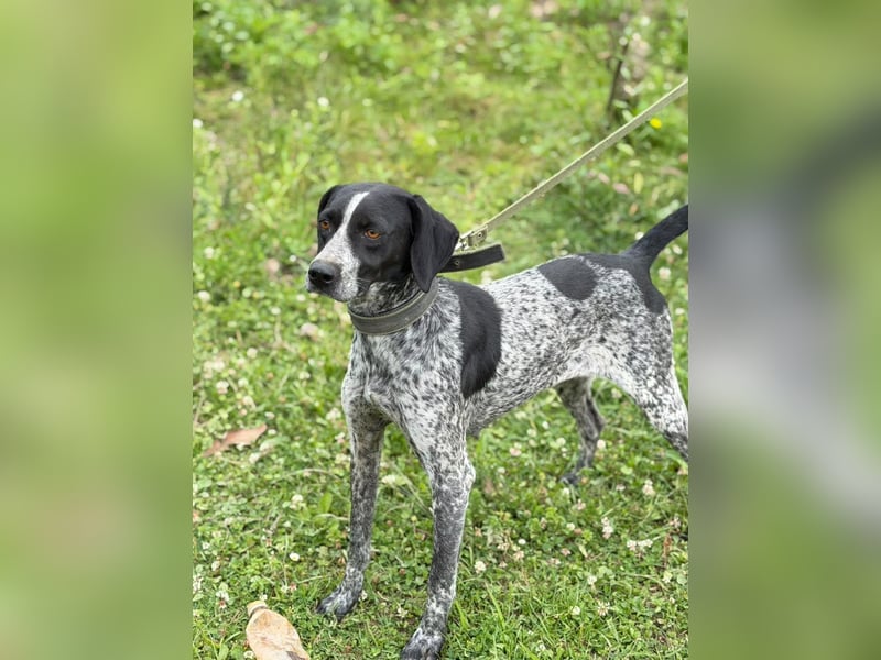 Graziöse Tina sucht ihr Zuhause!