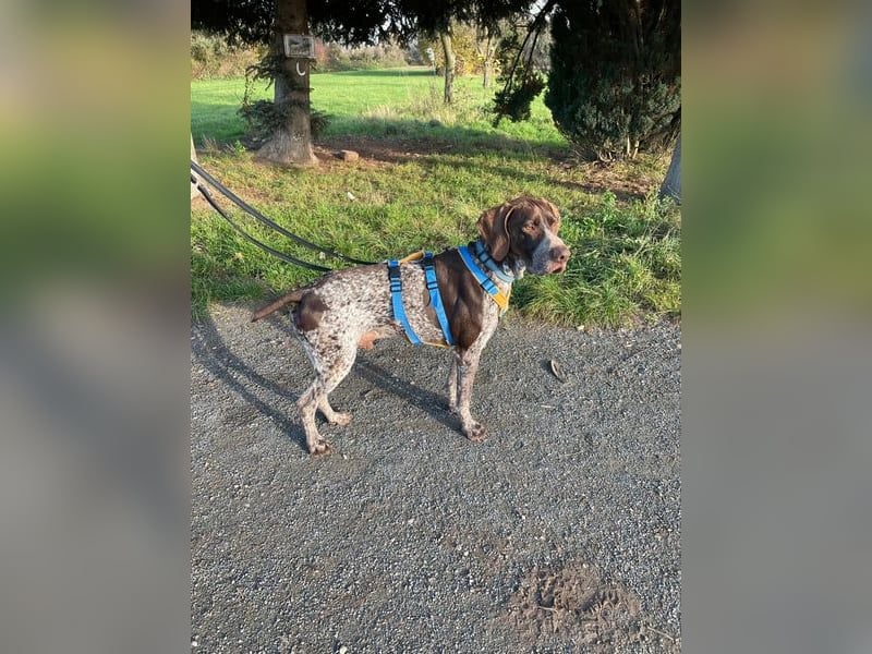 Ragnar, freundlich und sehr sozial