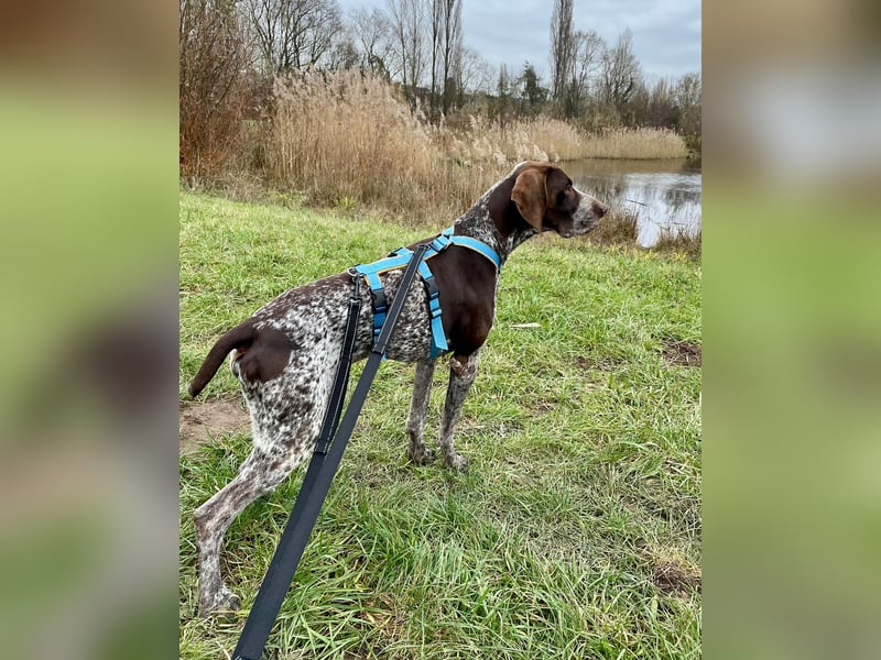 Ragnar, sehr menschenbezogen und freundlich