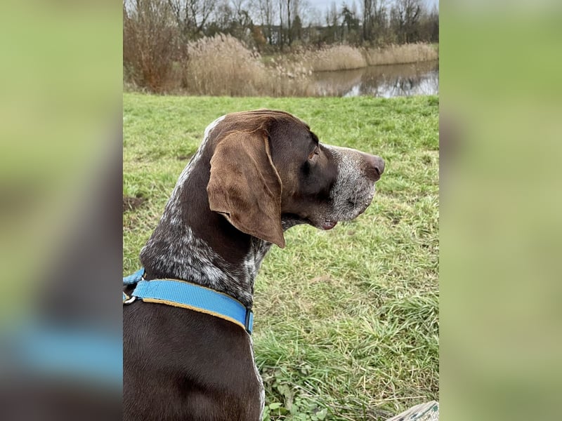 Ragnar, sehr menschenbezogen und freundlich