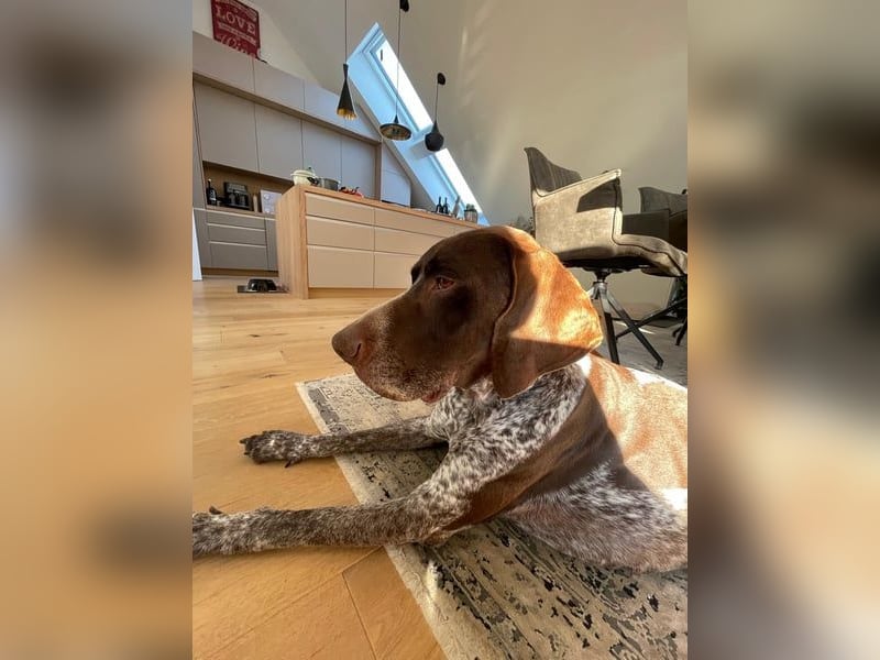 Ragnar, aktiv freundlich und menschenbezogen