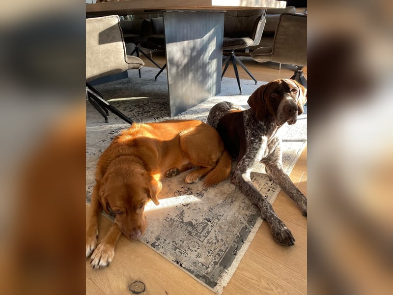 Ragnar, sehr menschenbezogen und freundlich