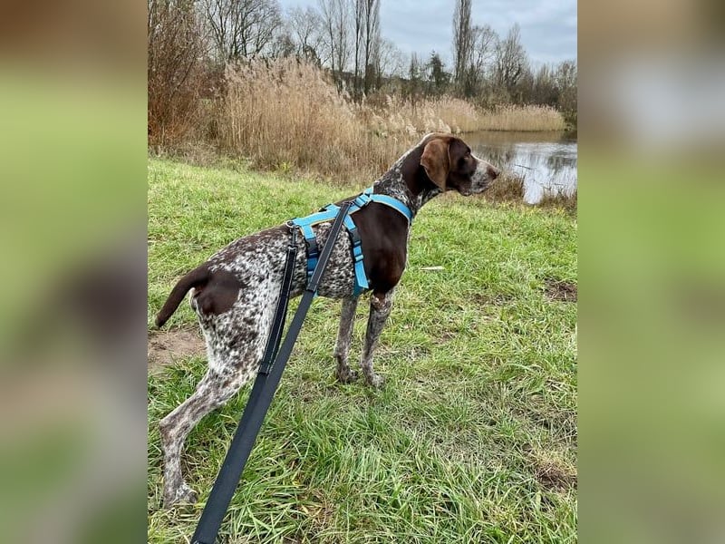 Ragnar, freundlich und sehr sozial