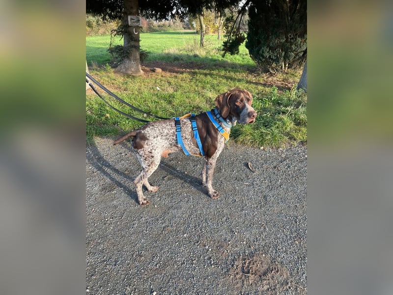 Ragnar, sehr menschenbezogen und freundlich