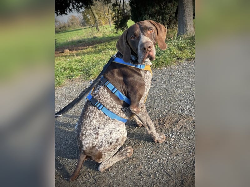 Ragnar, sehr menschenbezogen und freundlich