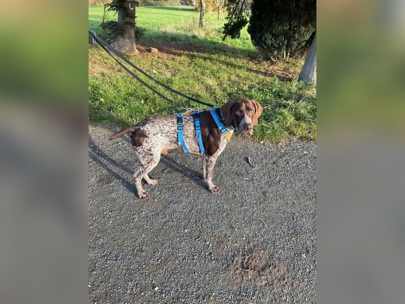 Ragnar, freundlich und sehr sozial