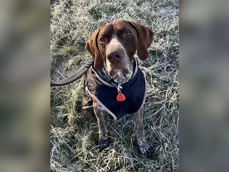 Ragnar, aktiv freundlich und menschenbezogen