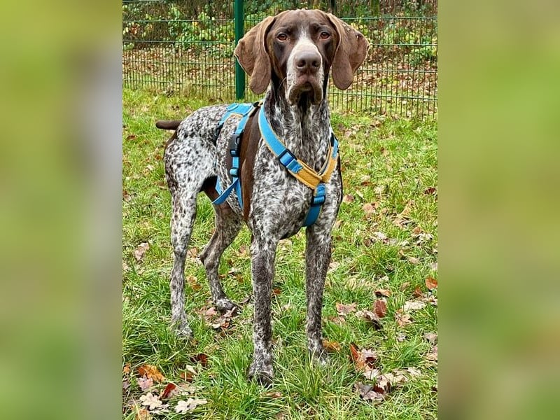 Ragnar, freundlich und sehr sozial