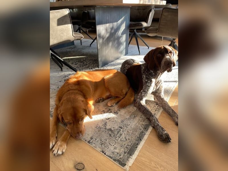 Ragnar, aktiv freundlich und menschenbezogen