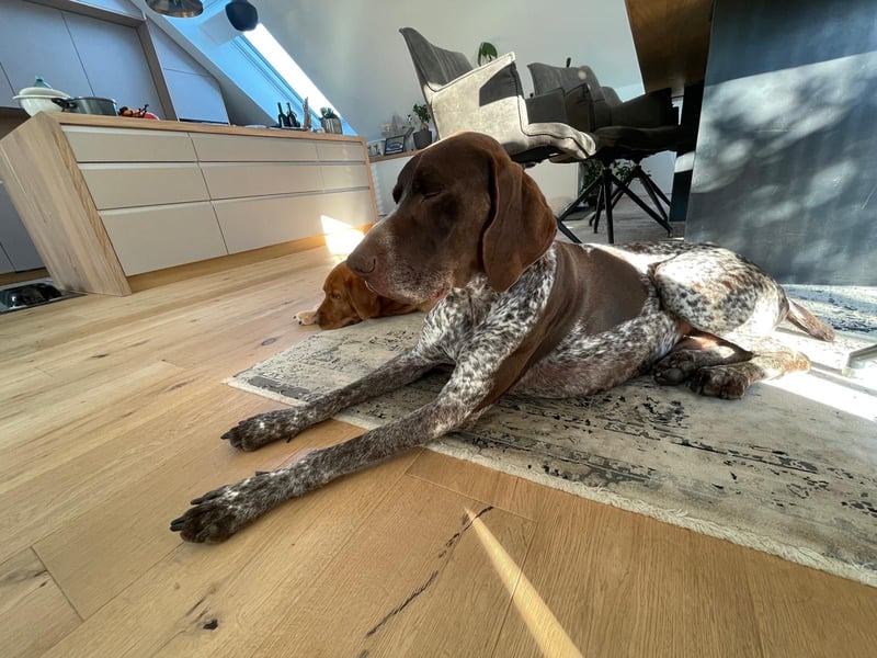 Ragnar, sehr menschenbezogen und freundlich