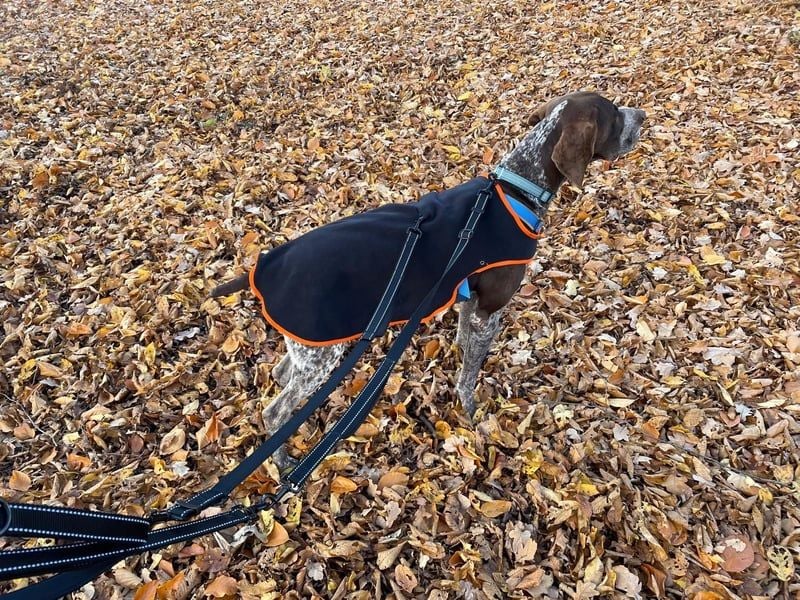 Ragnar, freundlich und sehr sozial