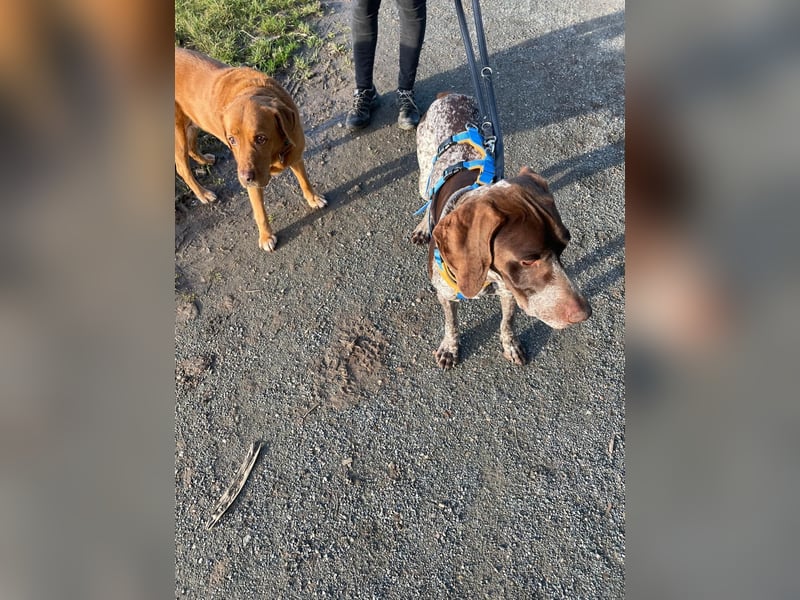 Ragnar, sehr menschenbezogen und freundlich