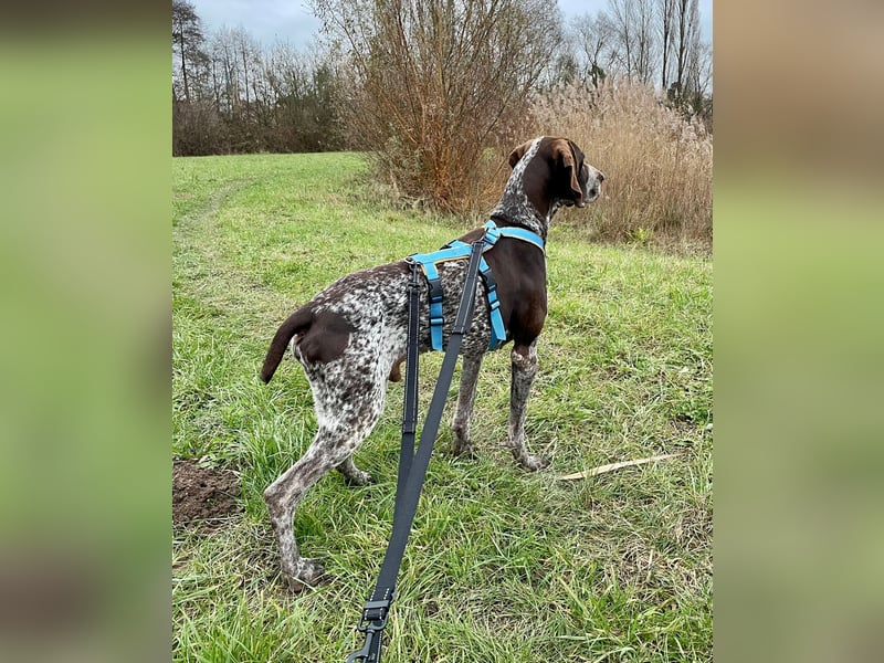 Ragnar, sehr menschenbezogen und freundlich