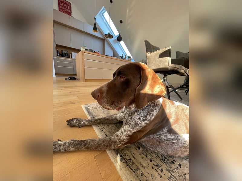 Ragnar, sehr menschenbezogen und freundlich