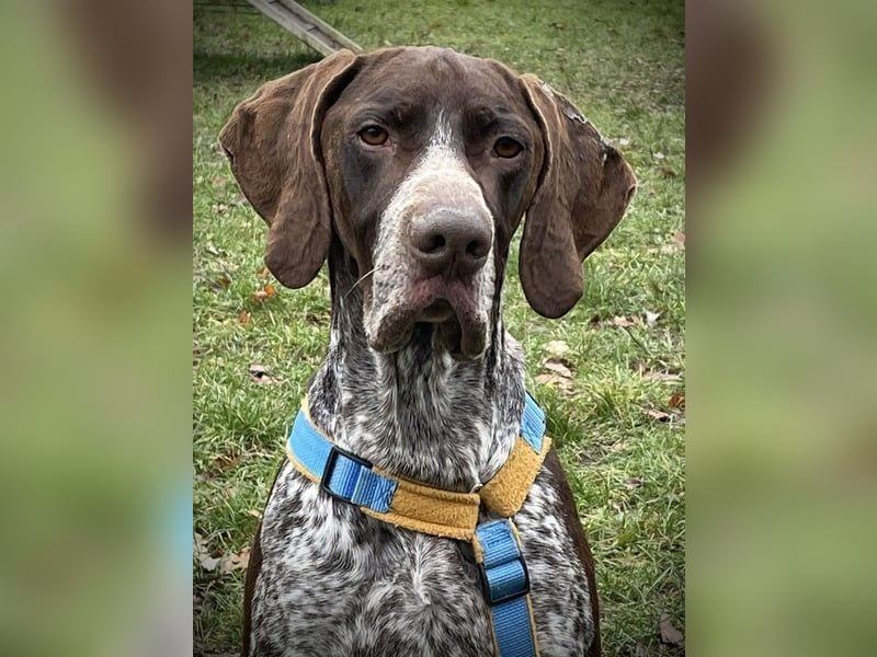 Ragnar, aktiv freundlich und menschenbezogen