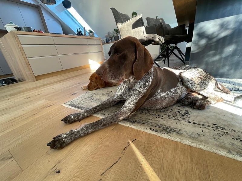 Ragnar, aktiv freundlich und menschenbezogen