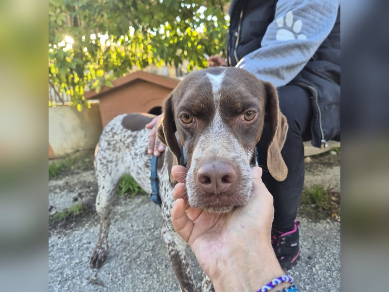 Jakob - ein feiner Kerl sucht seinen Lieblingsmenschen