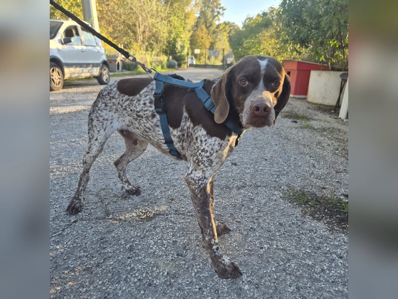 Jakob - ein feiner Kerl sucht seinen Lieblingsmenschen