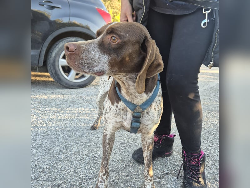Jakob - ein feiner Kerl sucht seinen Lieblingsmenschen