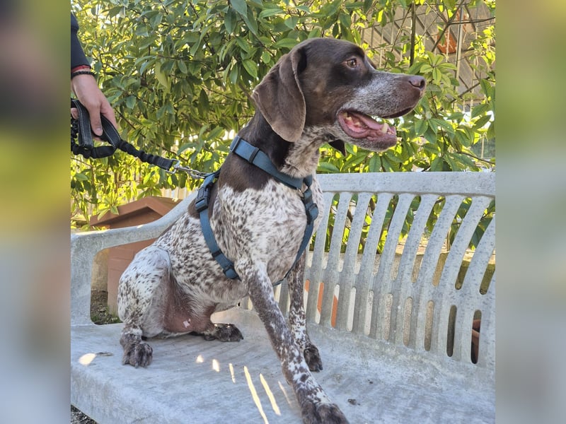 Jakob - ein feiner Kerl sucht seinen Lieblingsmenschen